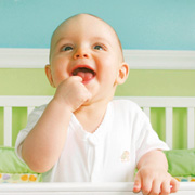 vue-bebe